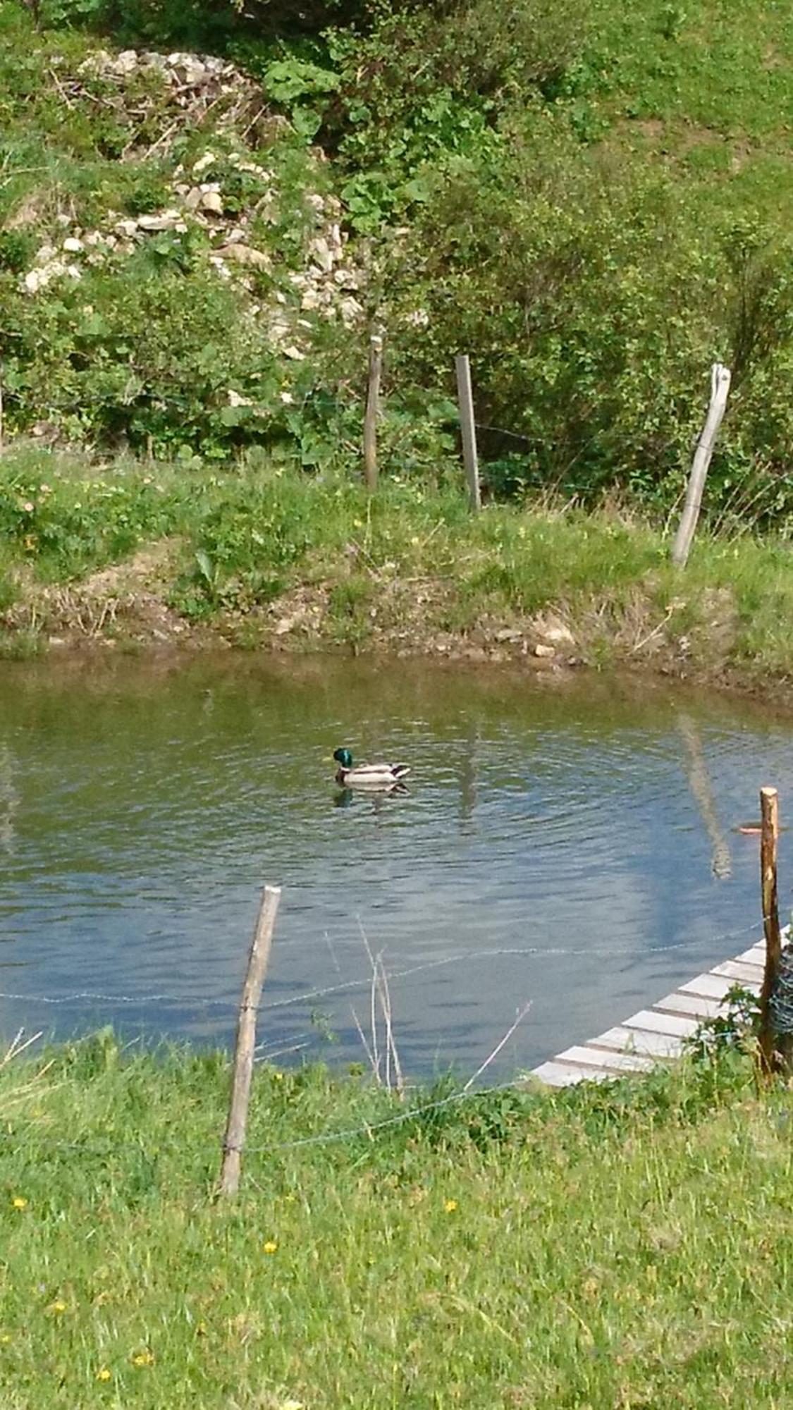 Villa Natur Schröcken Zewnętrze zdjęcie
